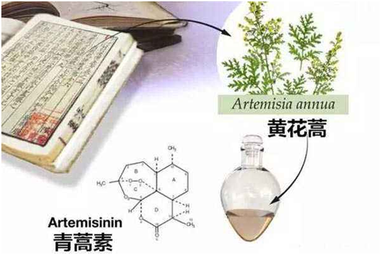 u球体育：向中医药看齐，与世界共享中医药文化(图1)